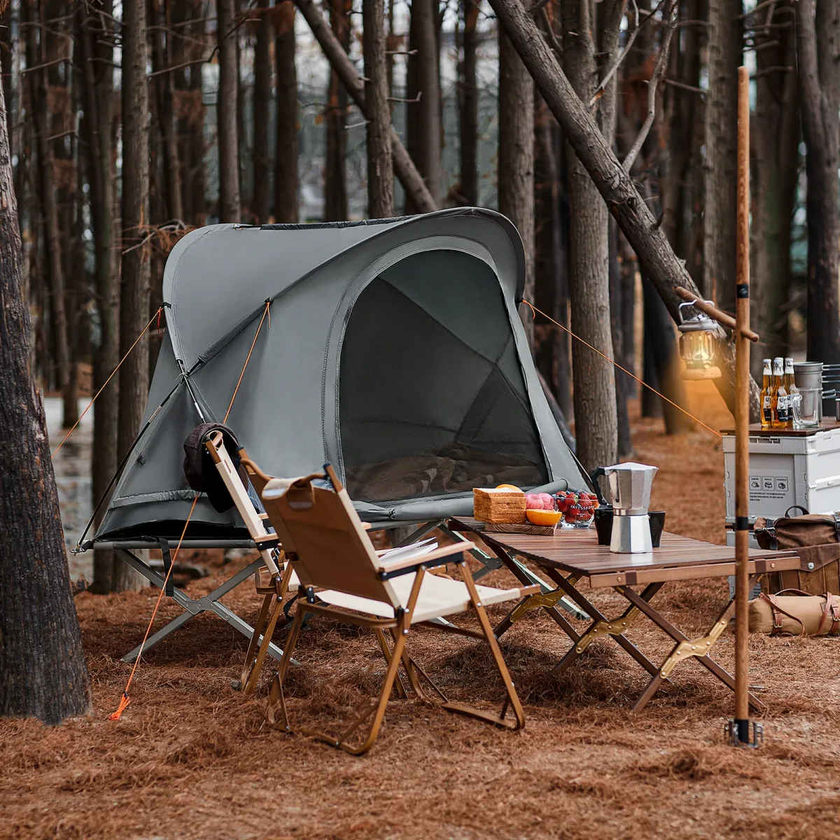 Lit de camp pliant avec tente dôme